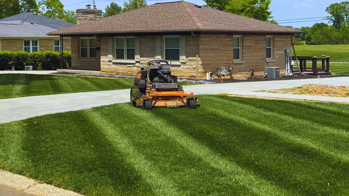 Louisville lawn care before and after results