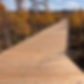 Boardwalk trail at Wayside Prairie Park in Isanti, Minnesota