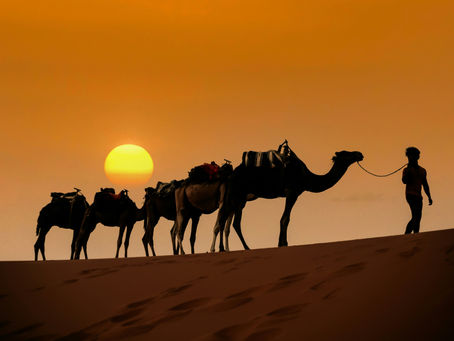 Dubai Evening Safari Itinerary: From Sunset Dunes to Arabian Nights