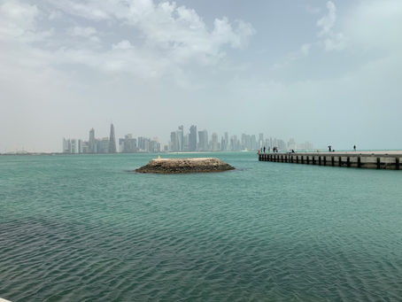 Top Marine Experiences to Explore at SeaWorld Abu Dhabi