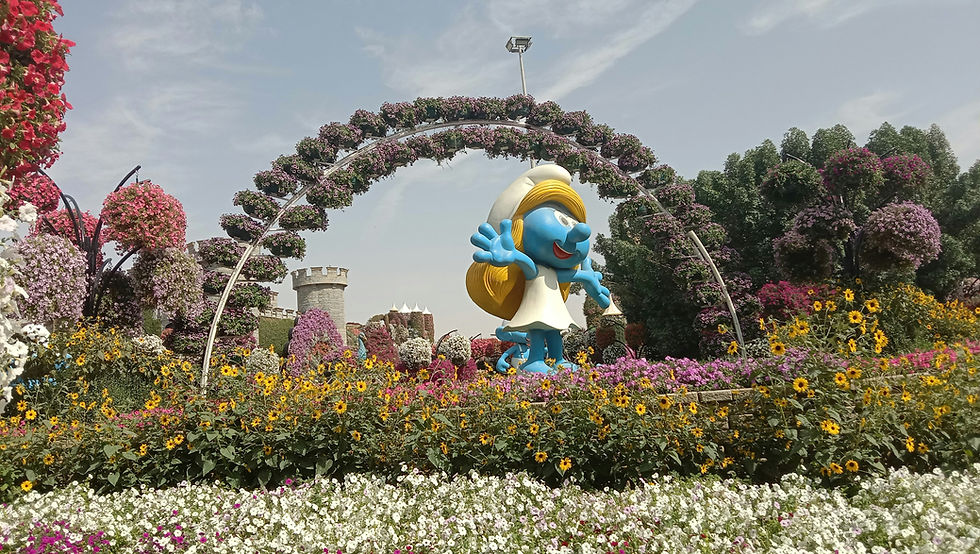 Tips for Miracle Garden Dubai Tickets Experience