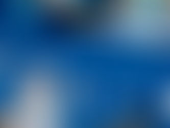 أهم 5 أسباب تجعل الأطفال يحبون عروض الدلافين في دبي