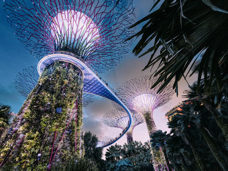 Dubai Miracle Garden Tickets: Where to Buy and How Much They Cost