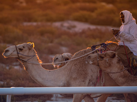 Top Things to Enjoy Post Evening Desert Safari Dubai