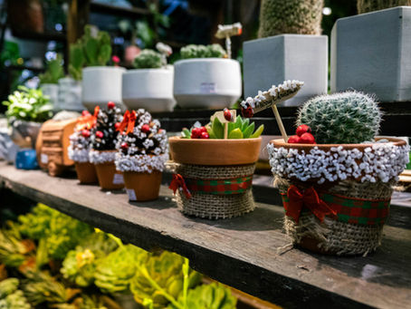 Dubai Miracle Garden souvenirs you won’t find anywhere else