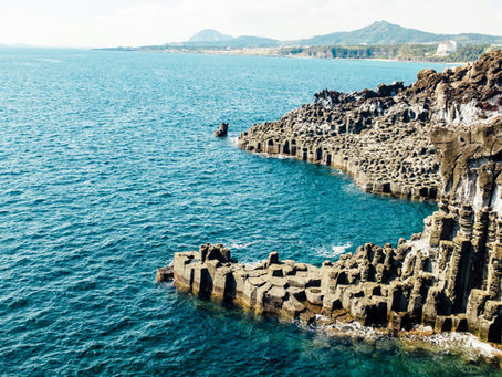 Explore the UAE’s Top Attractions: From Sea Wonders to Cultural Journeys