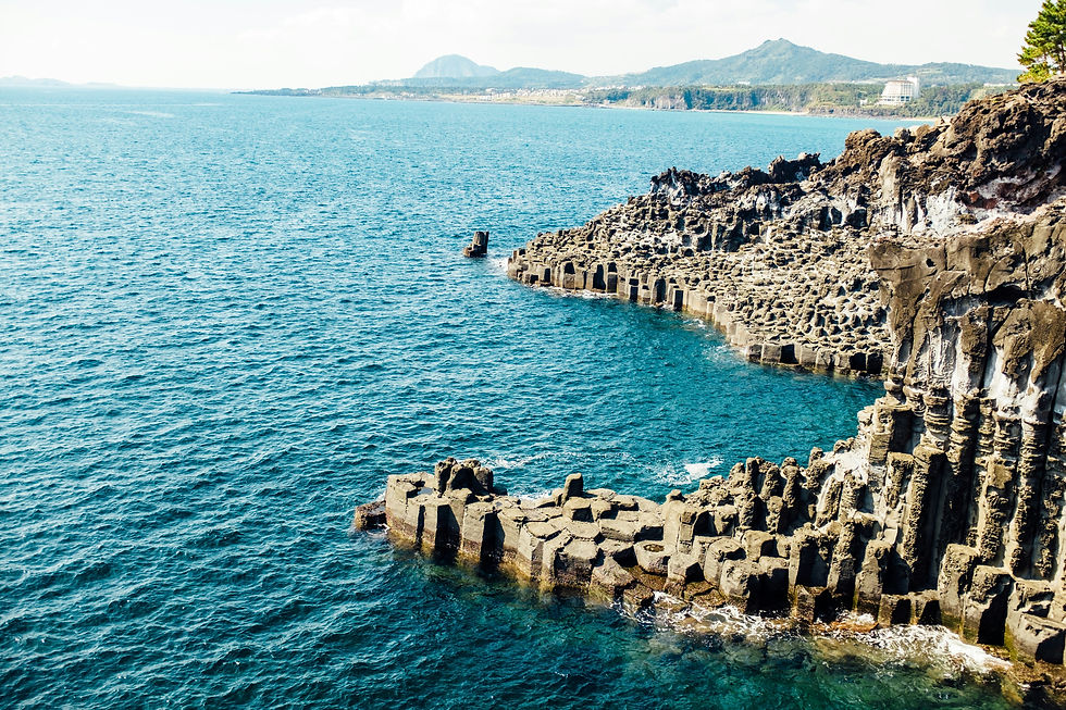 UAE’s Top Attractions: From Sea Wonders to Cultural Journeys