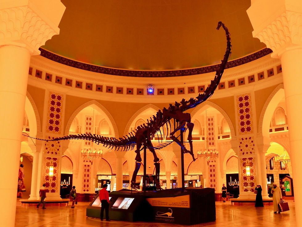 What’s Inside the Museum of Illusions Dubai!