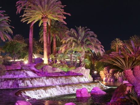Top Attractions Inside Miracle Garden Dubai You Can’t Miss
