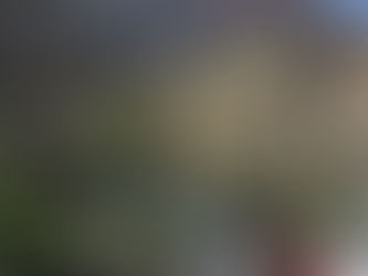 Top 5 Attractions You’ll See on a Musandam Dibba Trip