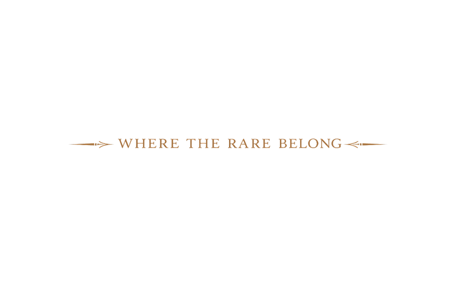 ChatGPT Image Feb 13, 2026, 09_19_36 PM.png