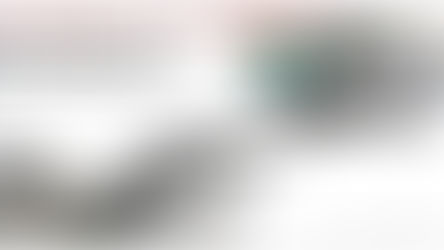 Diversificações e Planejamento.