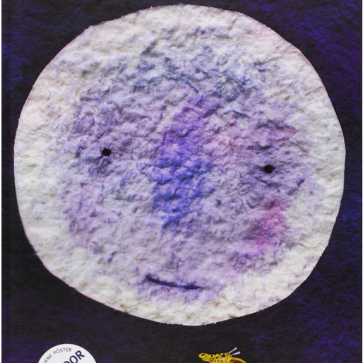 Recomendaciones: "¿A qué sabe la luna?"