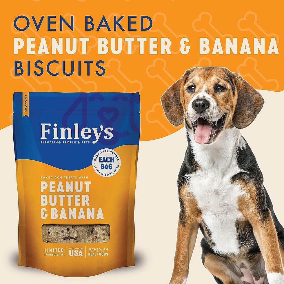 Thumbnail: Finley's Peanut Butter & Banana Dog Biscuits Treats for Dogs Made in USA