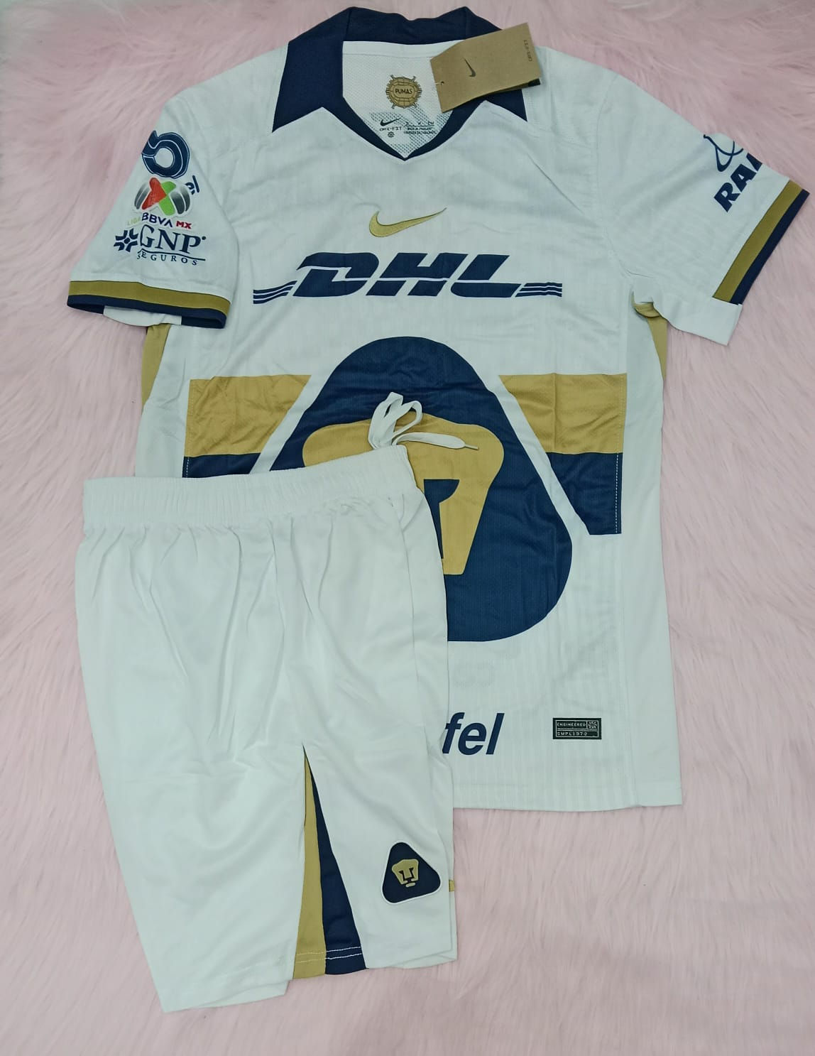 Conjunto de Fútbol, Pumas UNAM (Local) 2025/26