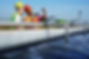 AdobeStock_293319546.jpeg