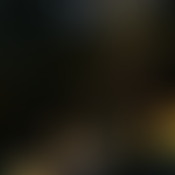 Dự án rừng sinh thái: Nghệ thuật chiếu sáng "Moonlight" & Sự tôn trọng thiên nhiên nguyên bản