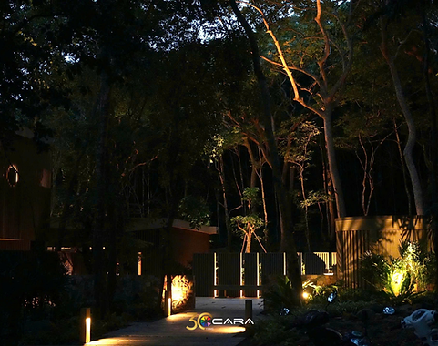 Khu resort nằm giữa thiên nhiên Côn Đảo