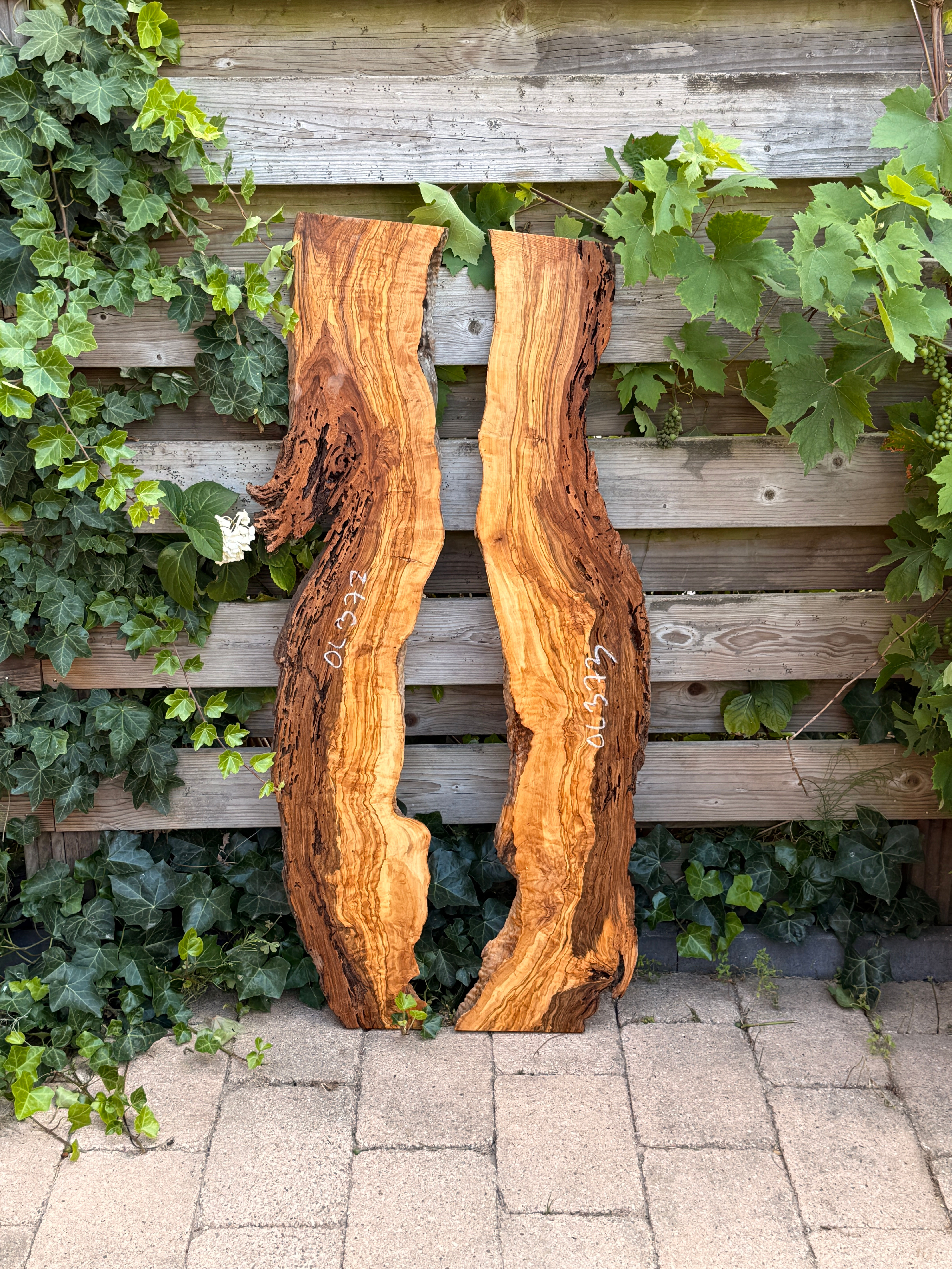 Olijf Houten Plank - OL372