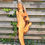 Miniature : ​​​​​​​Olijf Houten Plank - OL168 (Zelf Ophalen)