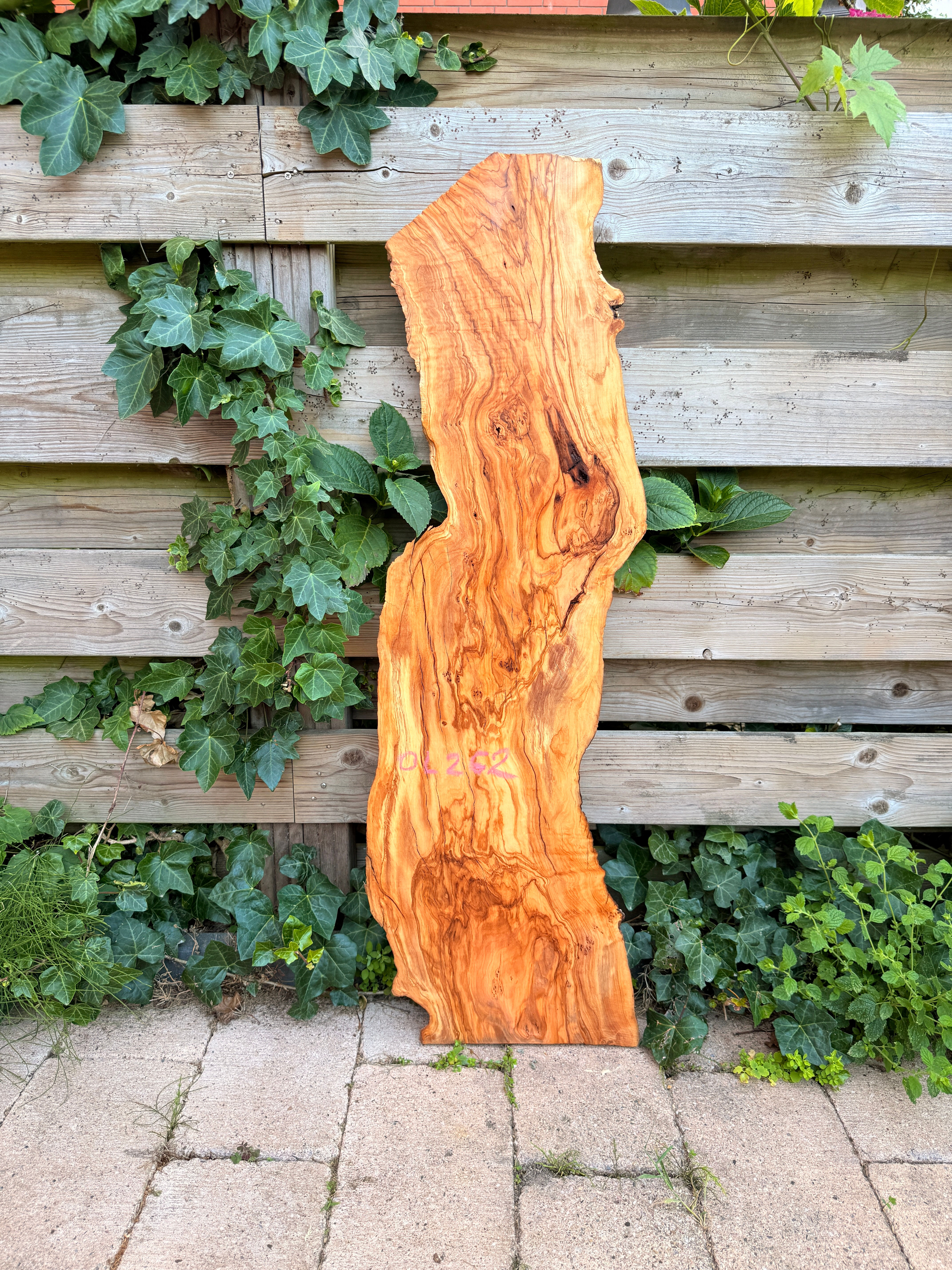 ​​​​​​​Olijf Houten Plank - OL262