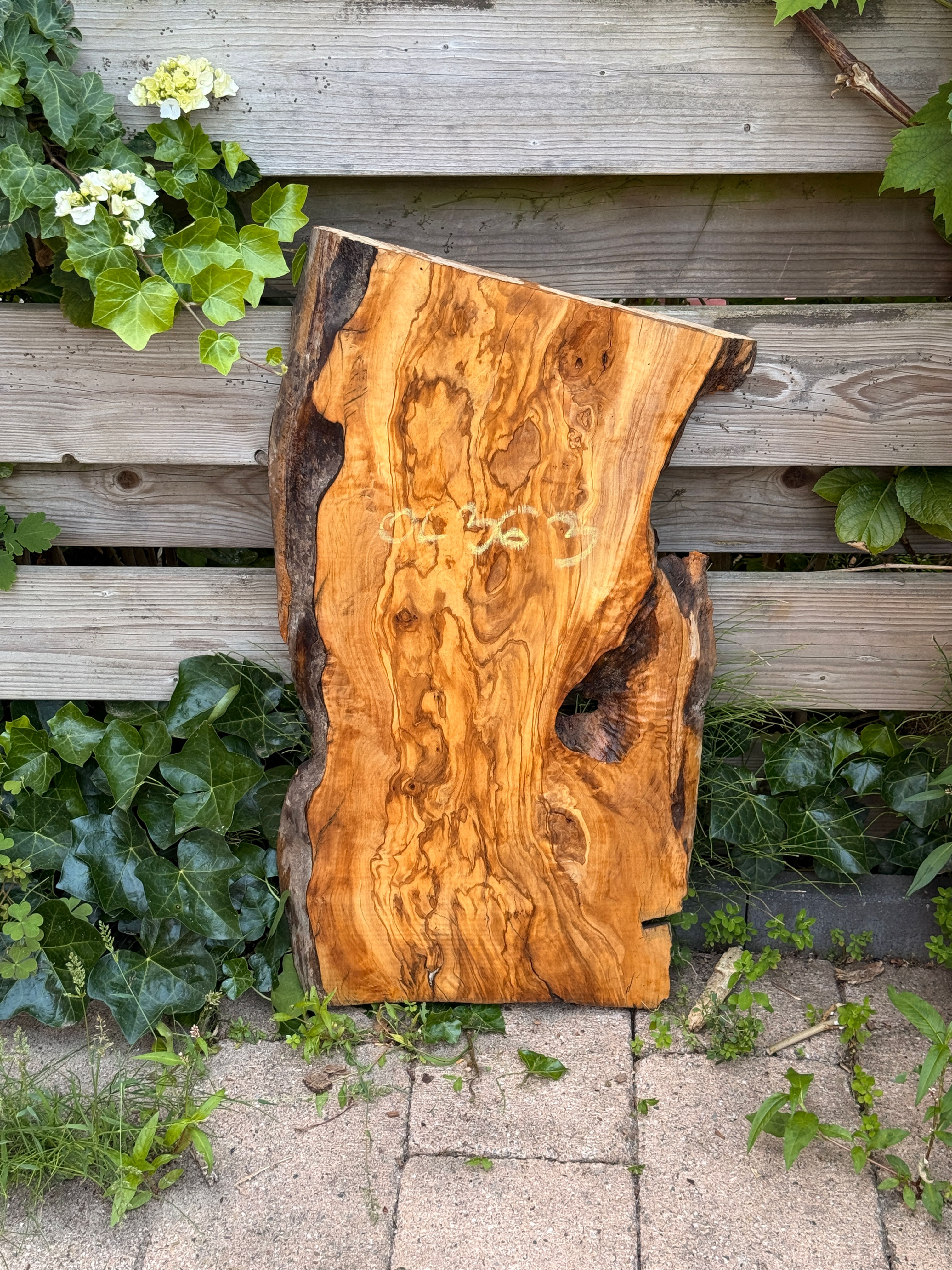 Olijf Houten Plank - OL363
