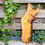 Miniatura: Olijf Houten Plank - OL205