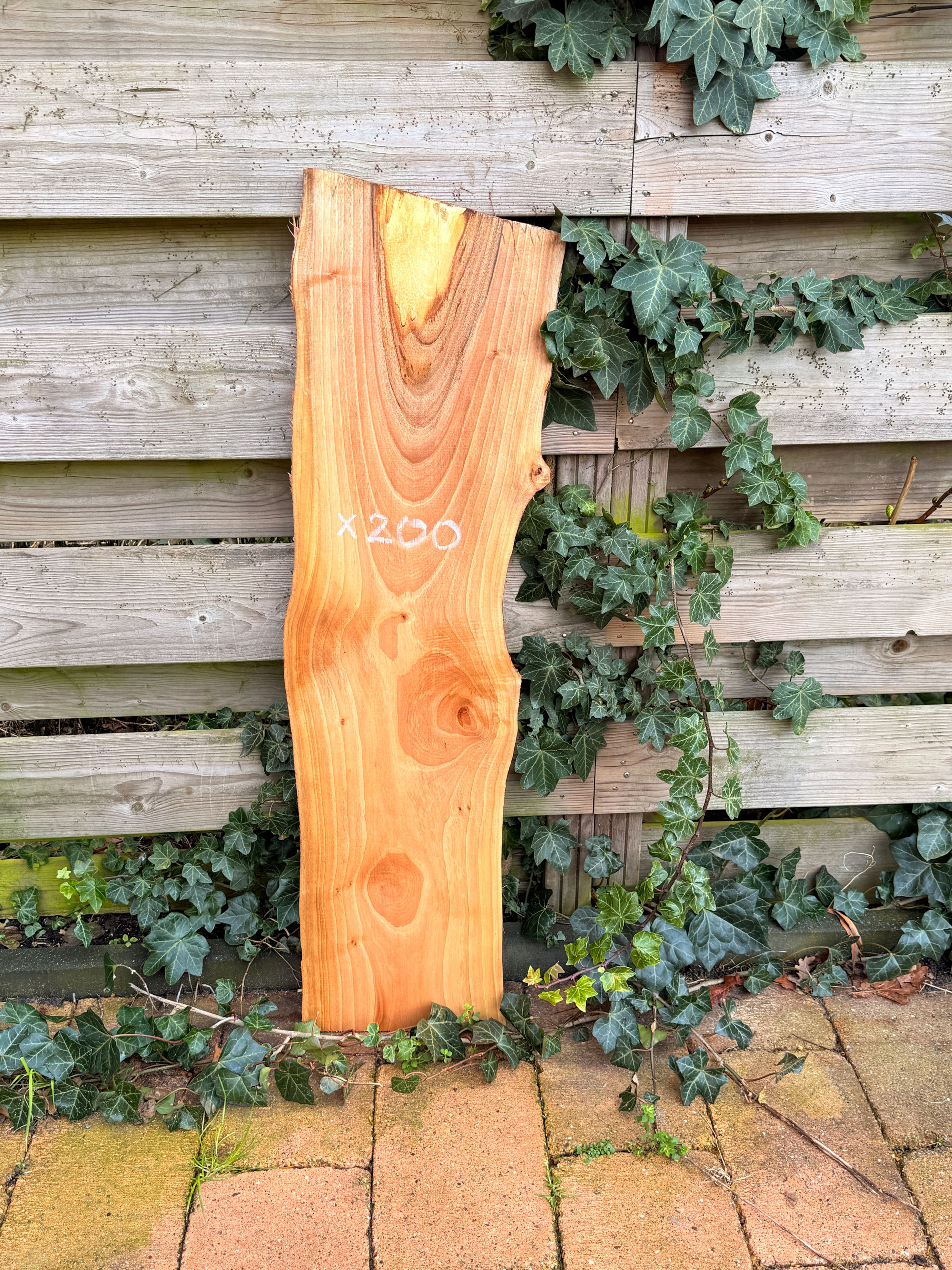 Walnoot Houten Plank - X220
