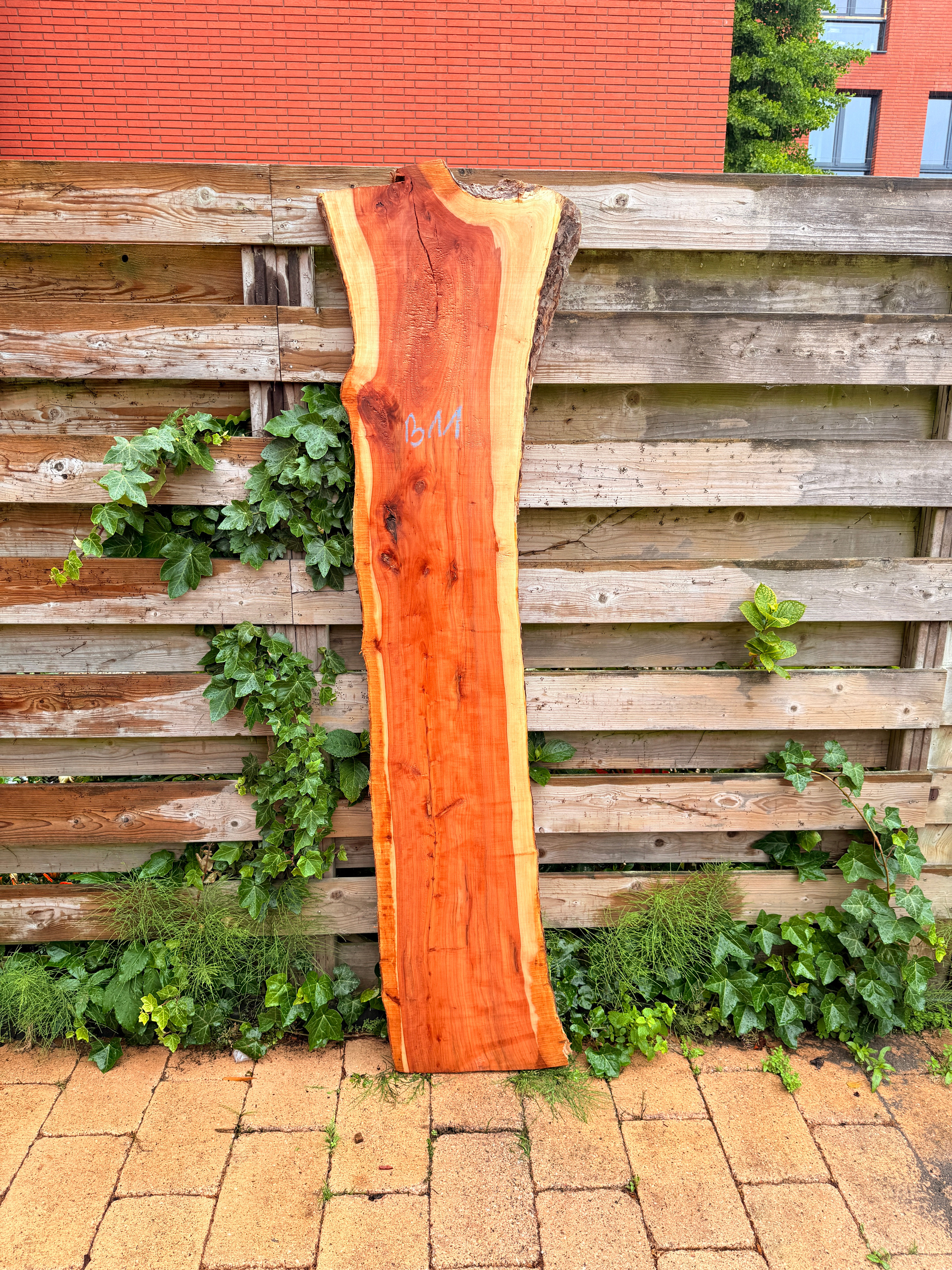 Apple Houten Plank - B11 (Zelf Ophalen)