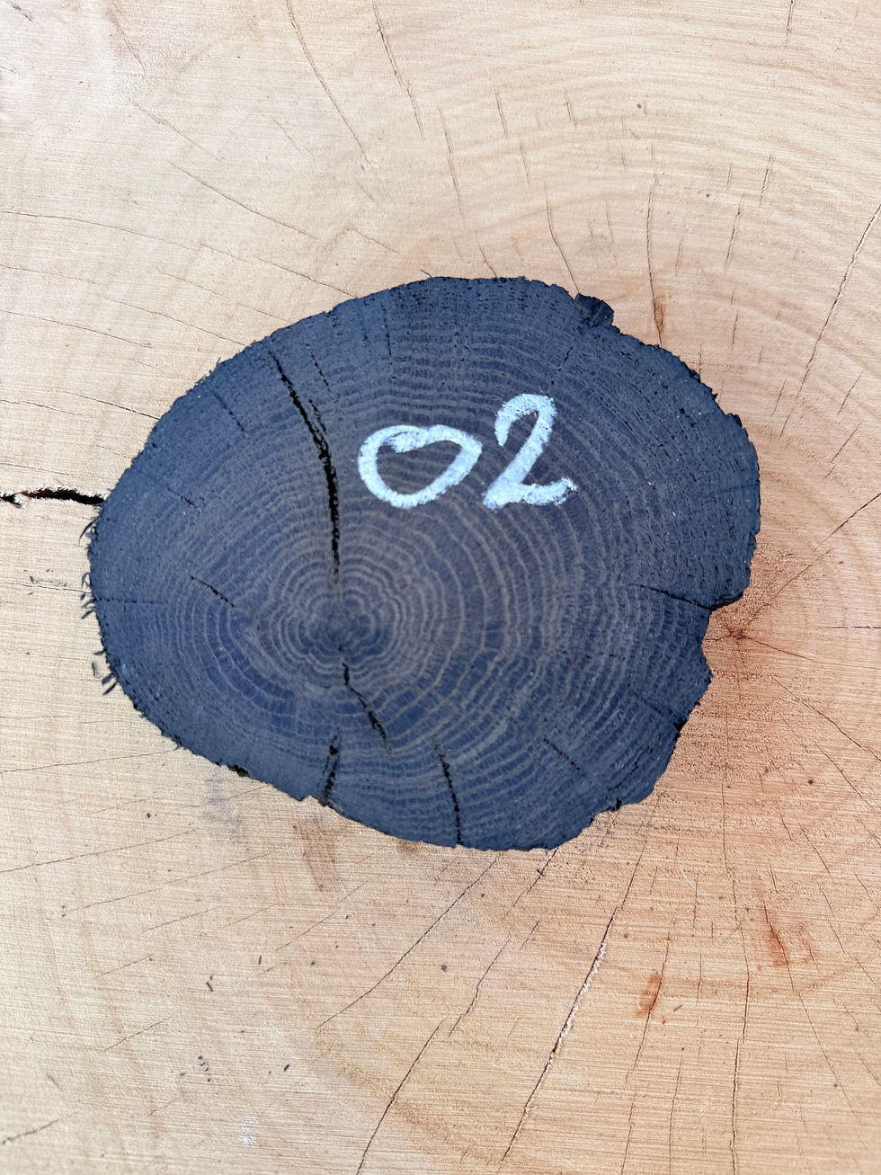 Thumbnail: Zwarte Eiken Houten Schijf - O2