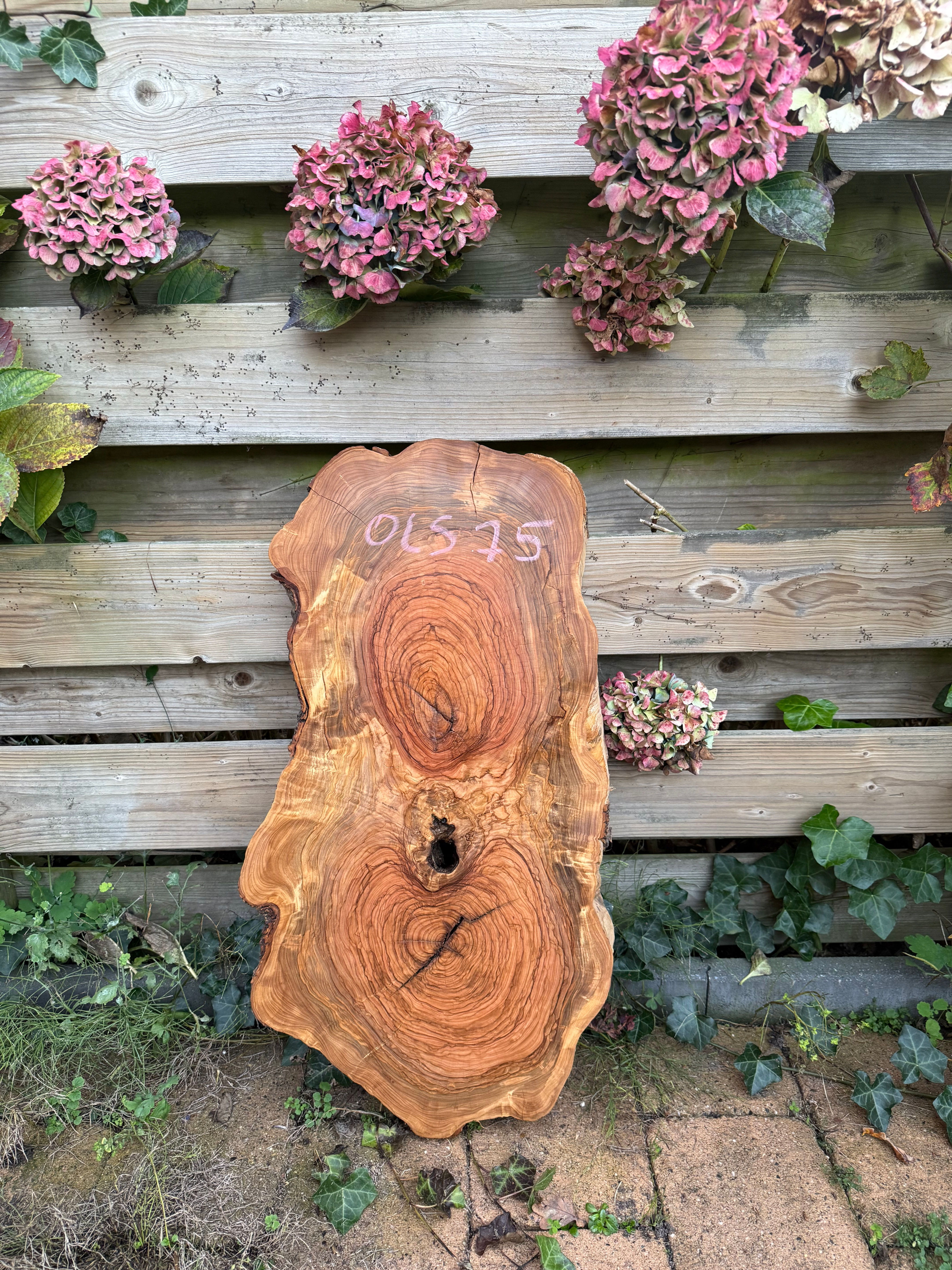 Olive Wood Disc - OLS75