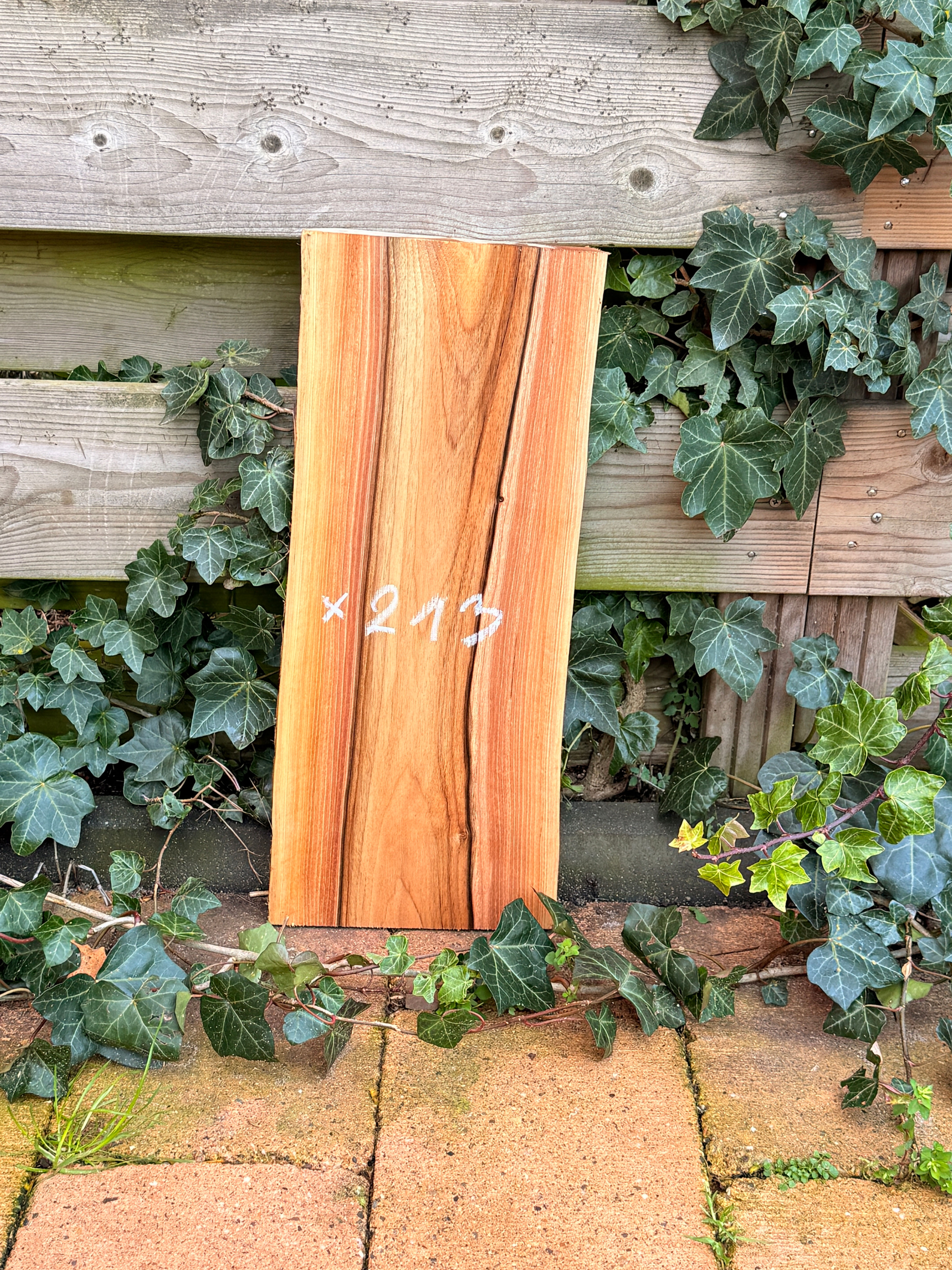 Walnoot Houten Plank - X213