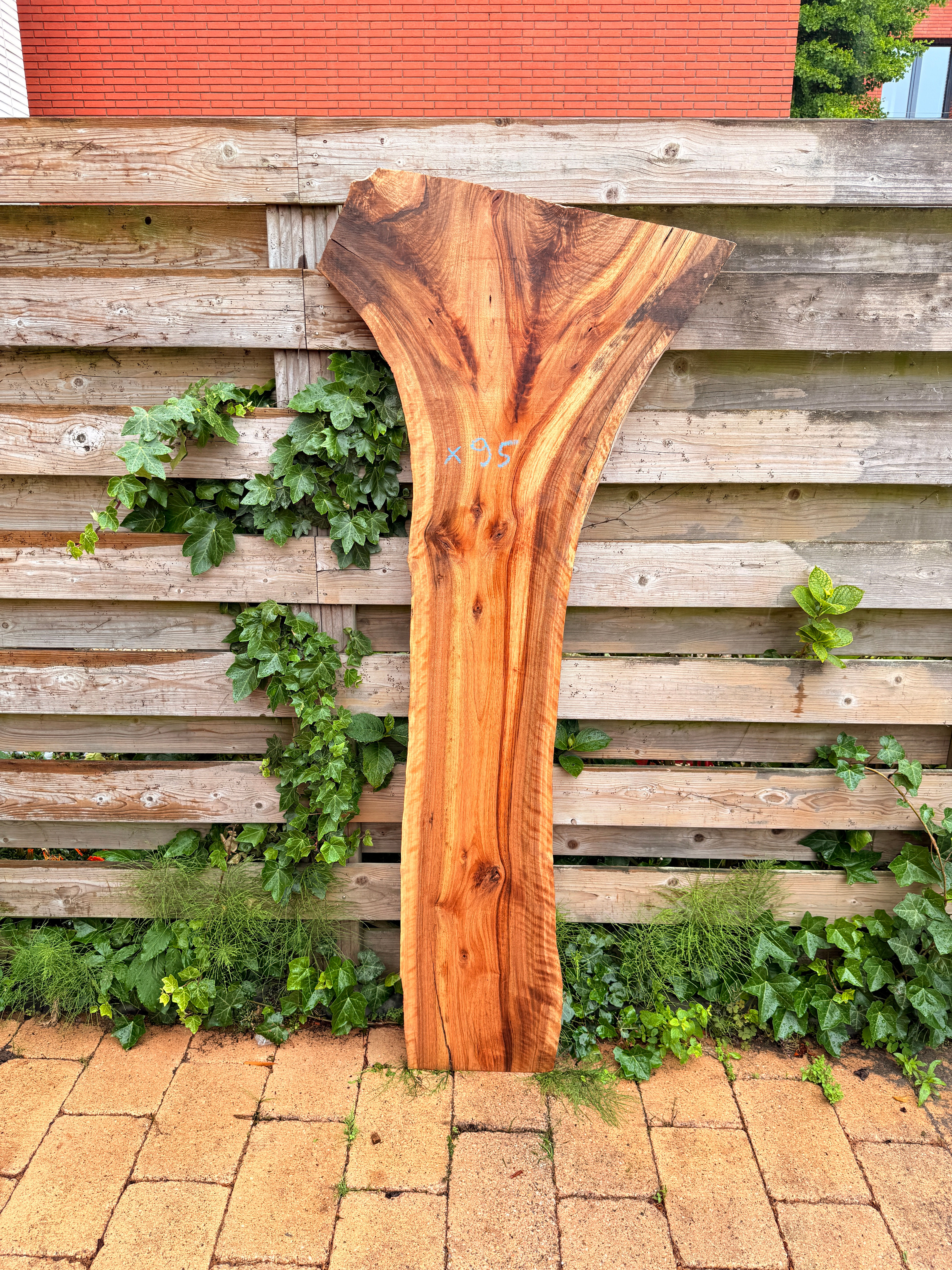 Walnoot Houten Plank - X95 (Zelf Ophalen)