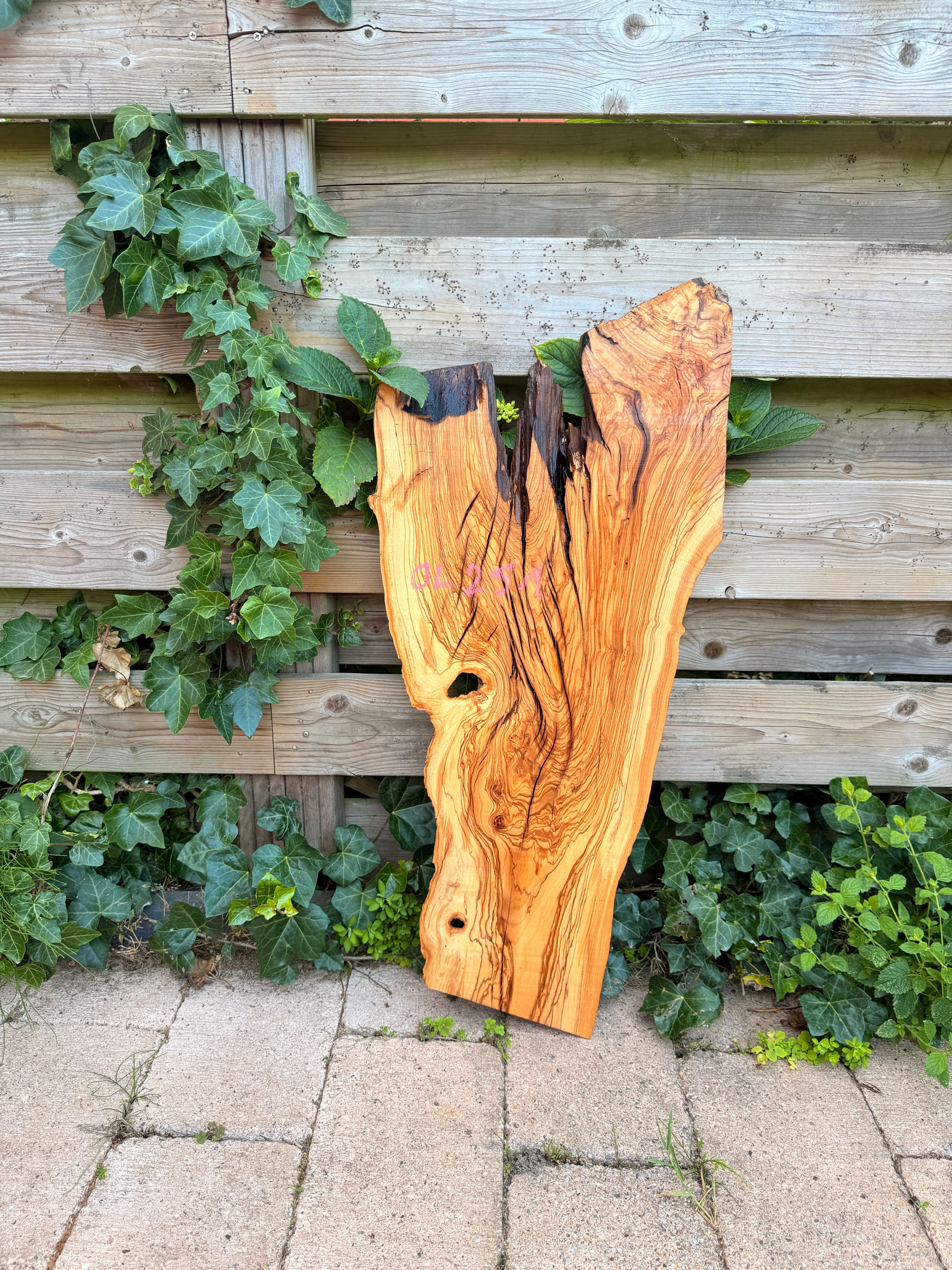 Olijf Houten Plank - OL251