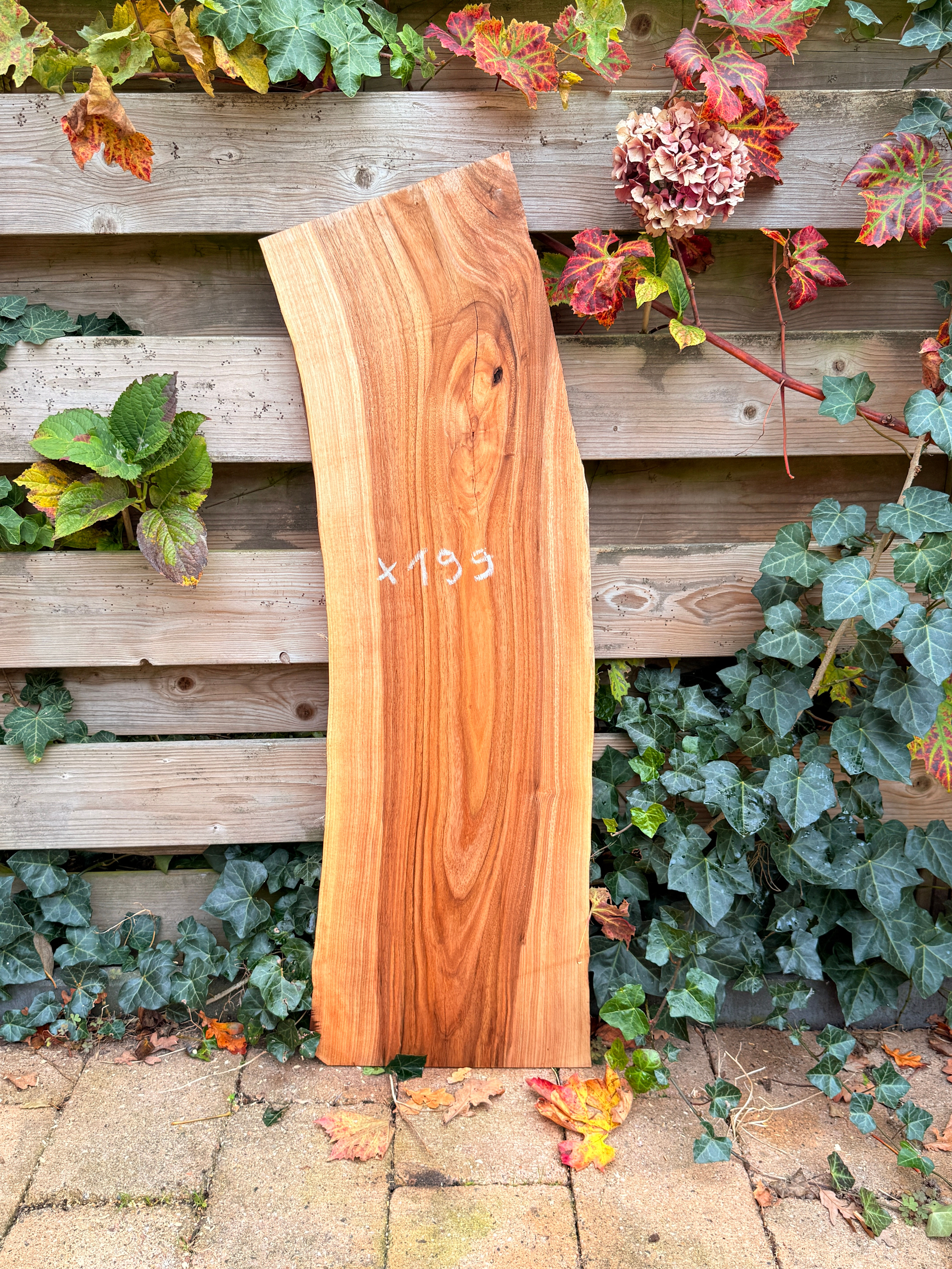 Walnoot Houten Plank - X199