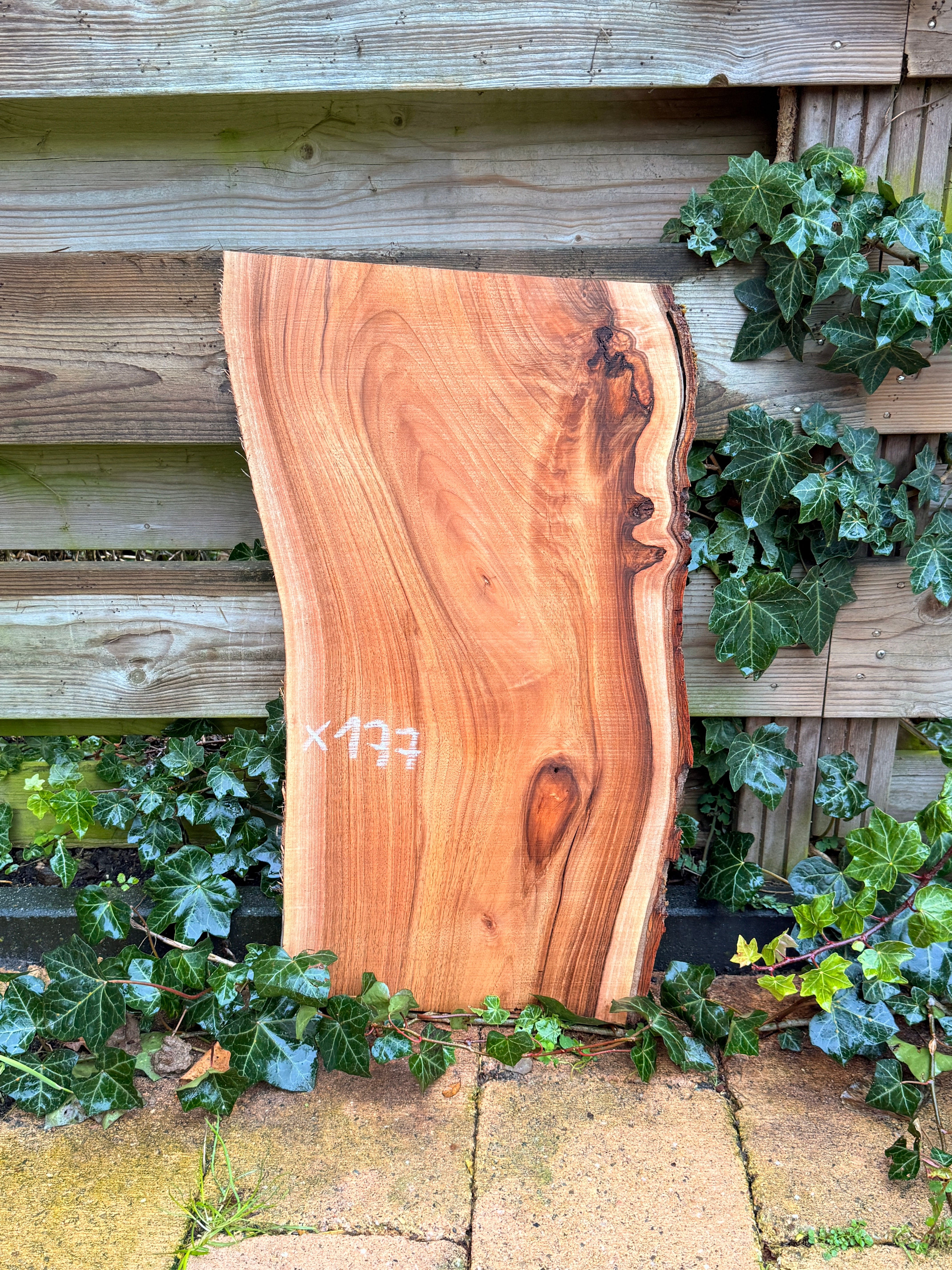 Walnoot Houten Plank - X177