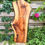 Thumbnail: Walnoot Houten Plank - X134