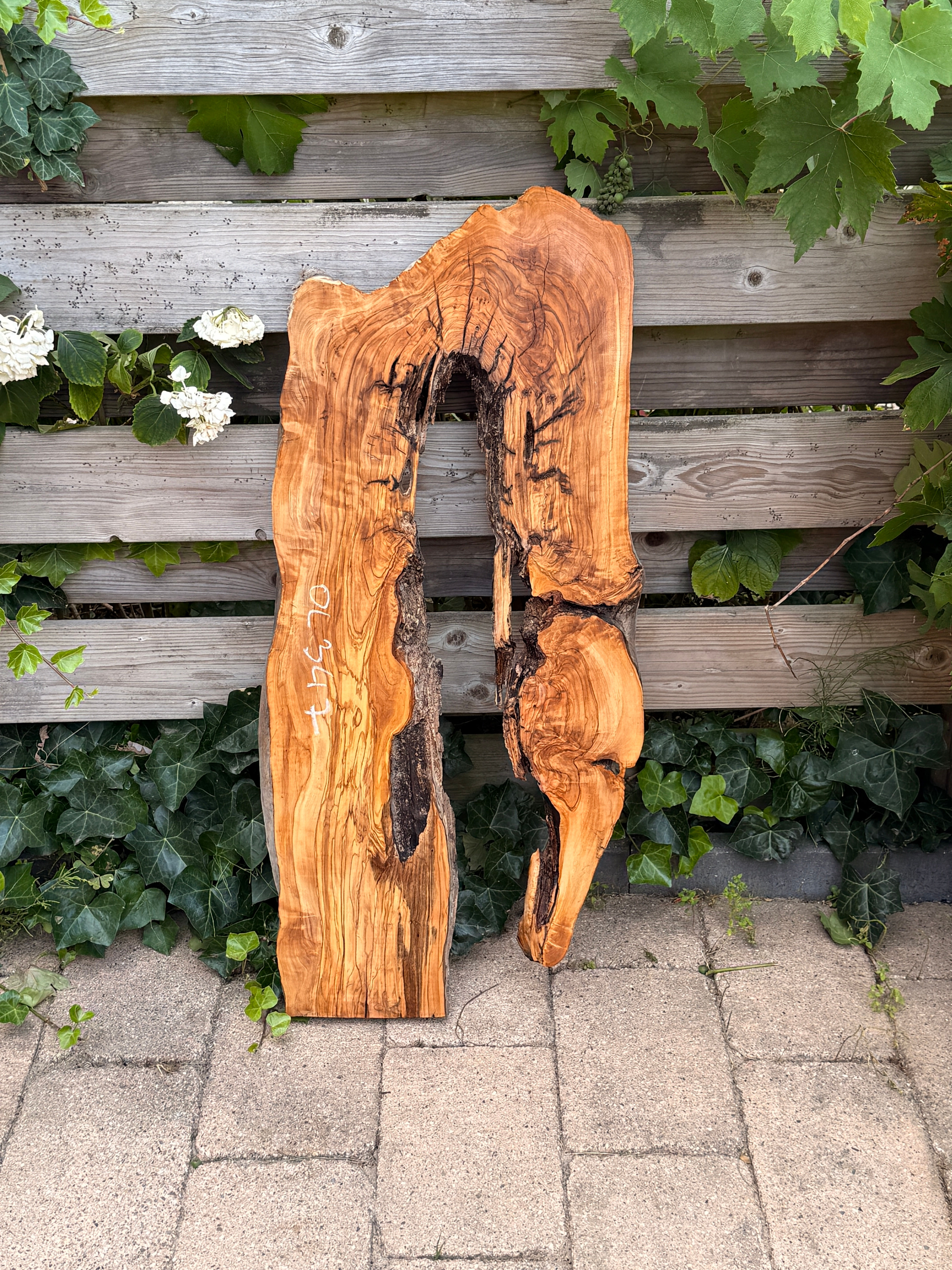 Olijf Houten Plank - OL347