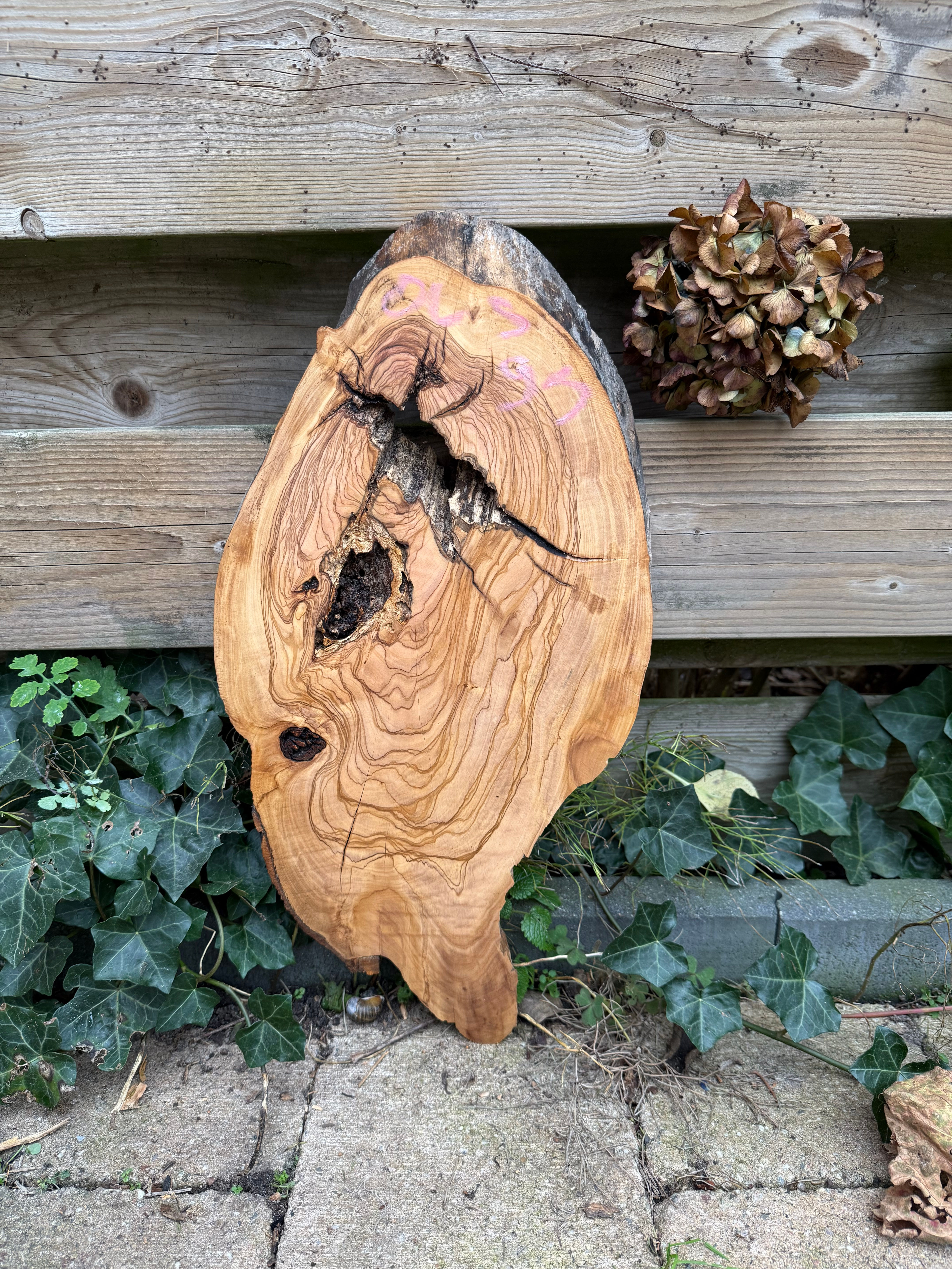 Disque en Bois d'Olivier - OLS93