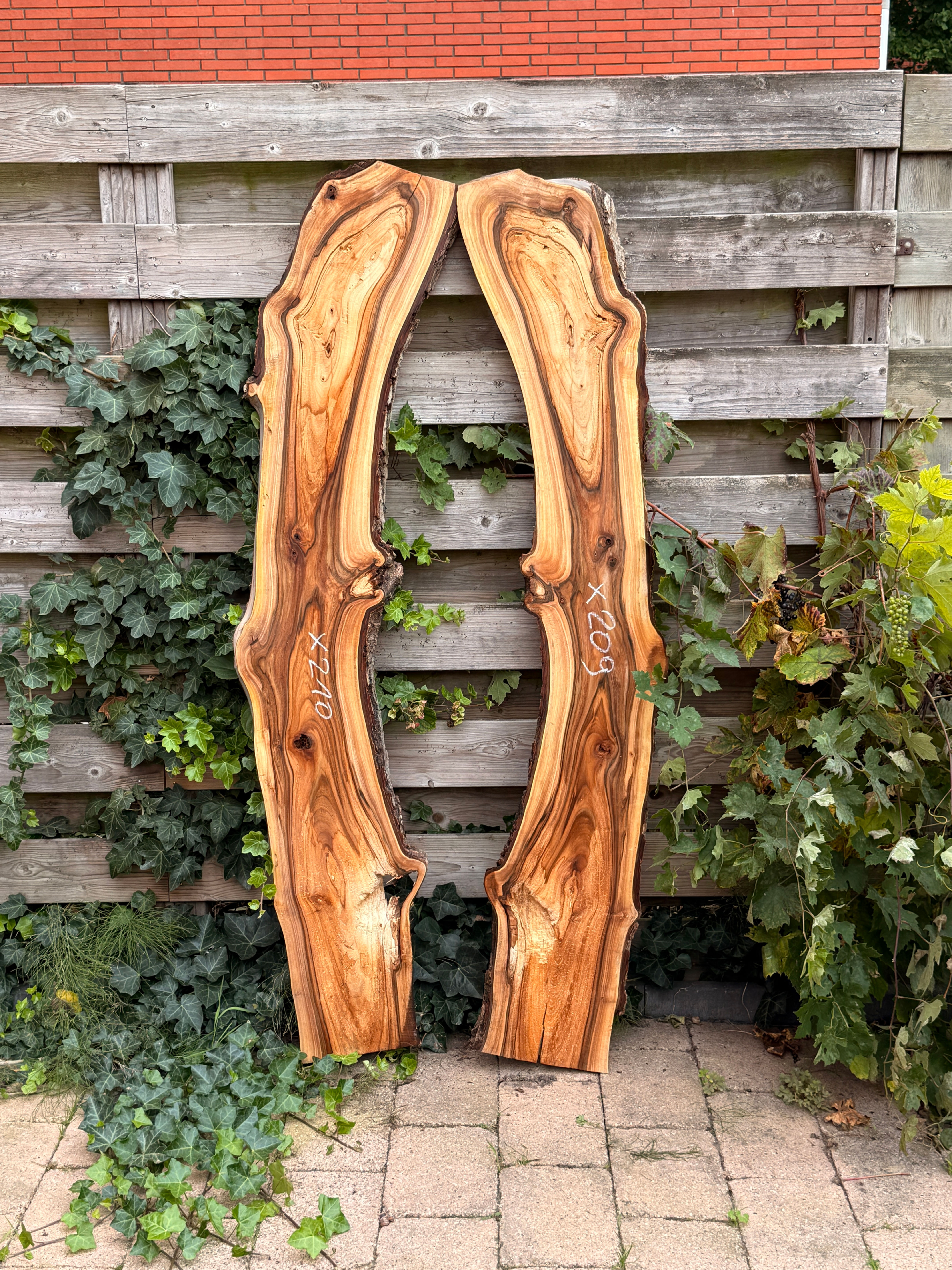 Walnoot Houten Plank - X210 (Zelf Ophalen)