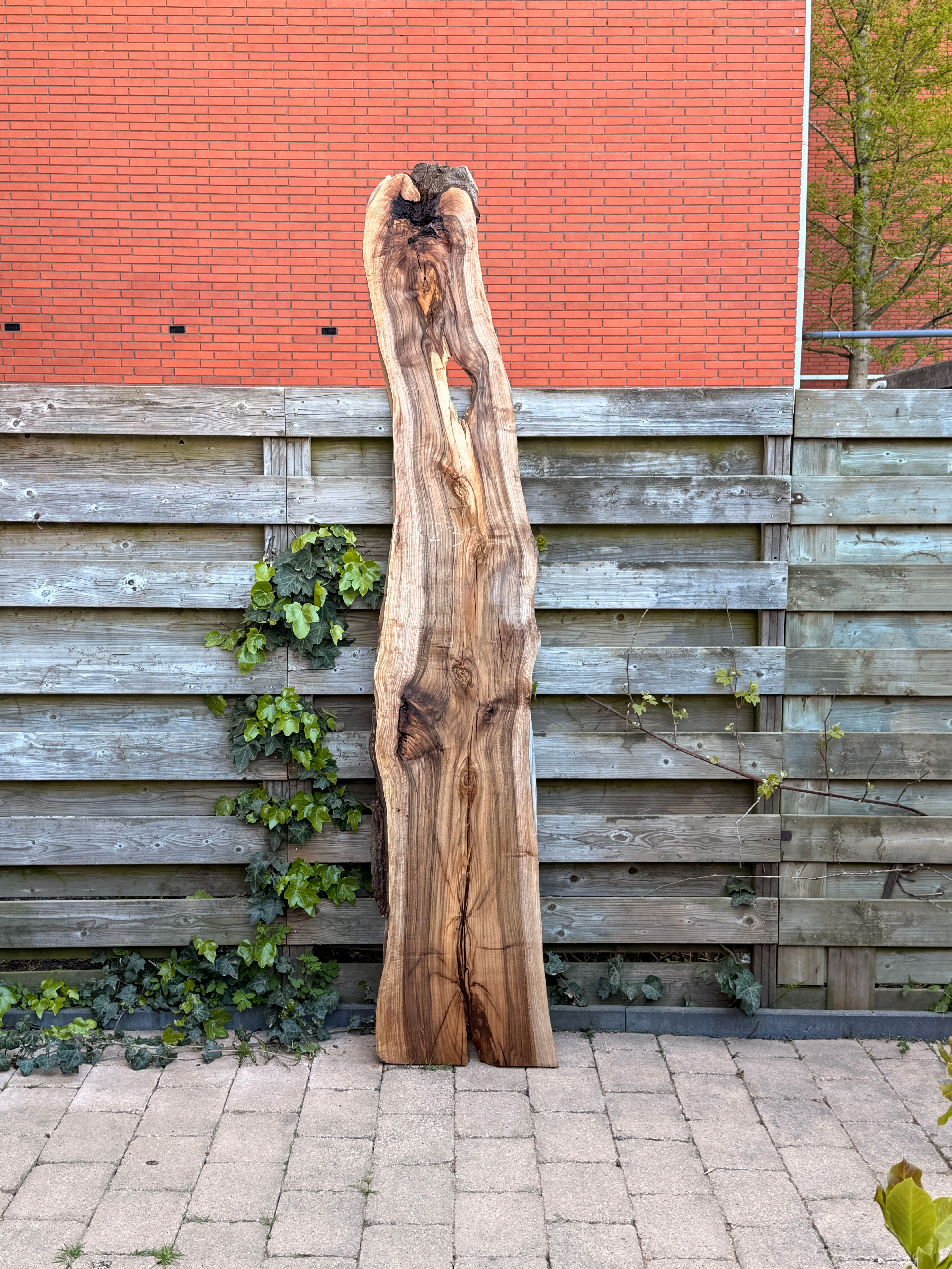 Walnoot Houten Plank - X233 (Zelf Ophalen)
