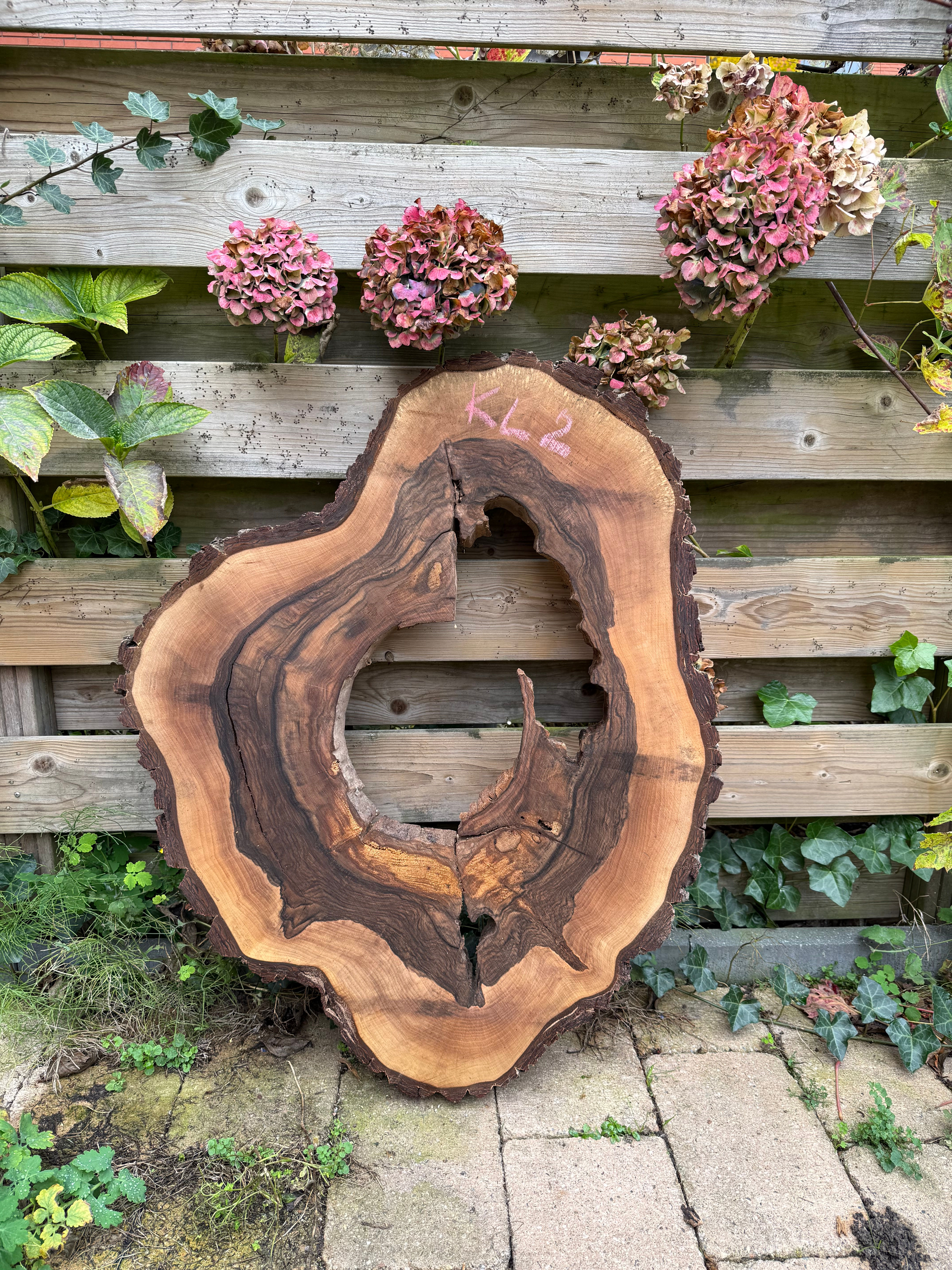 Disque en bois de noyer - KL2