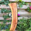 Thumbnail: Walnoot Houten Plank - X92
