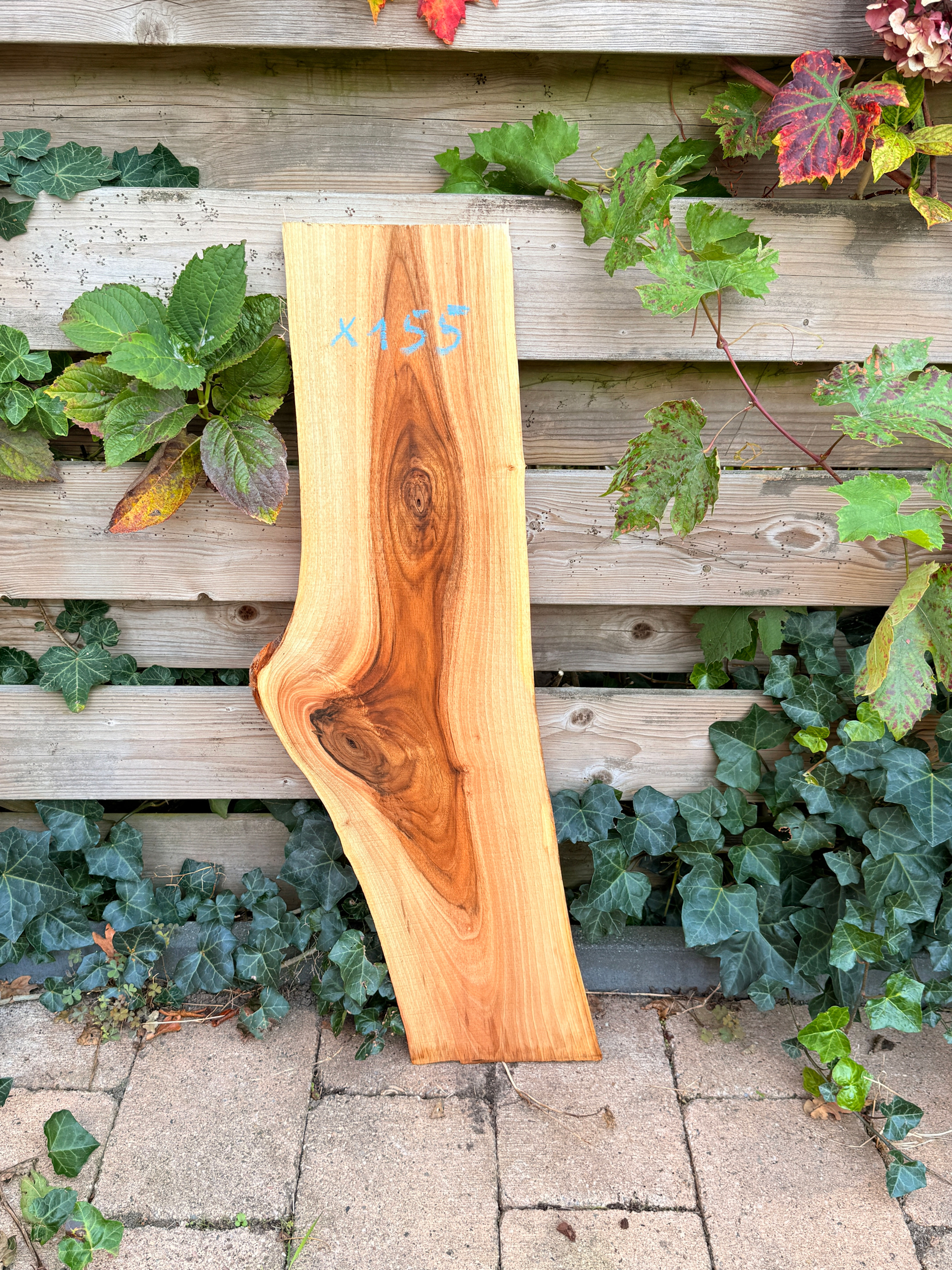 Walnoot Houten Plank - X155