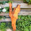 Miniatura: Olijf Houten Plank - OL273