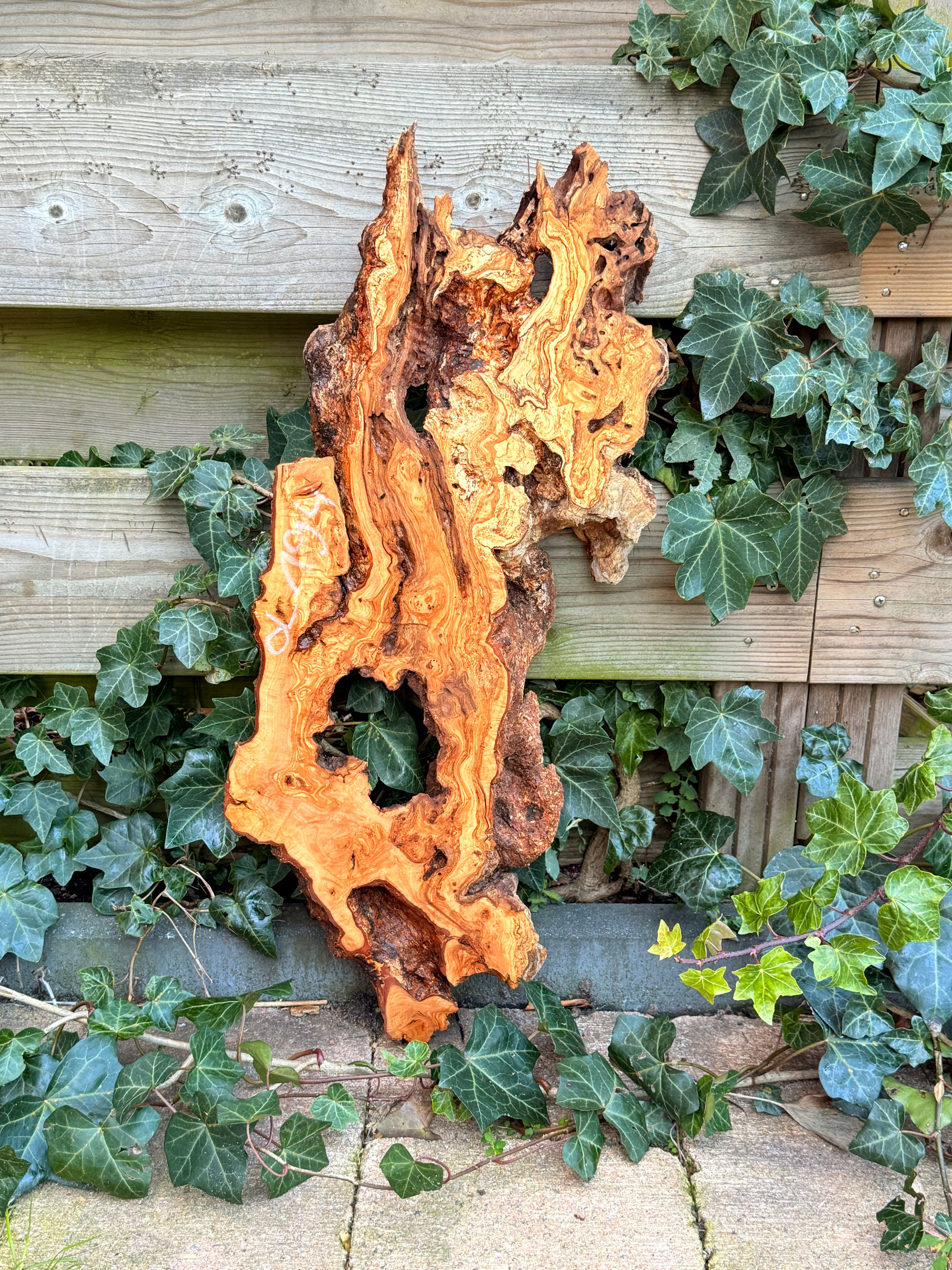 Olijfhouten Wortelstuck  - OL194