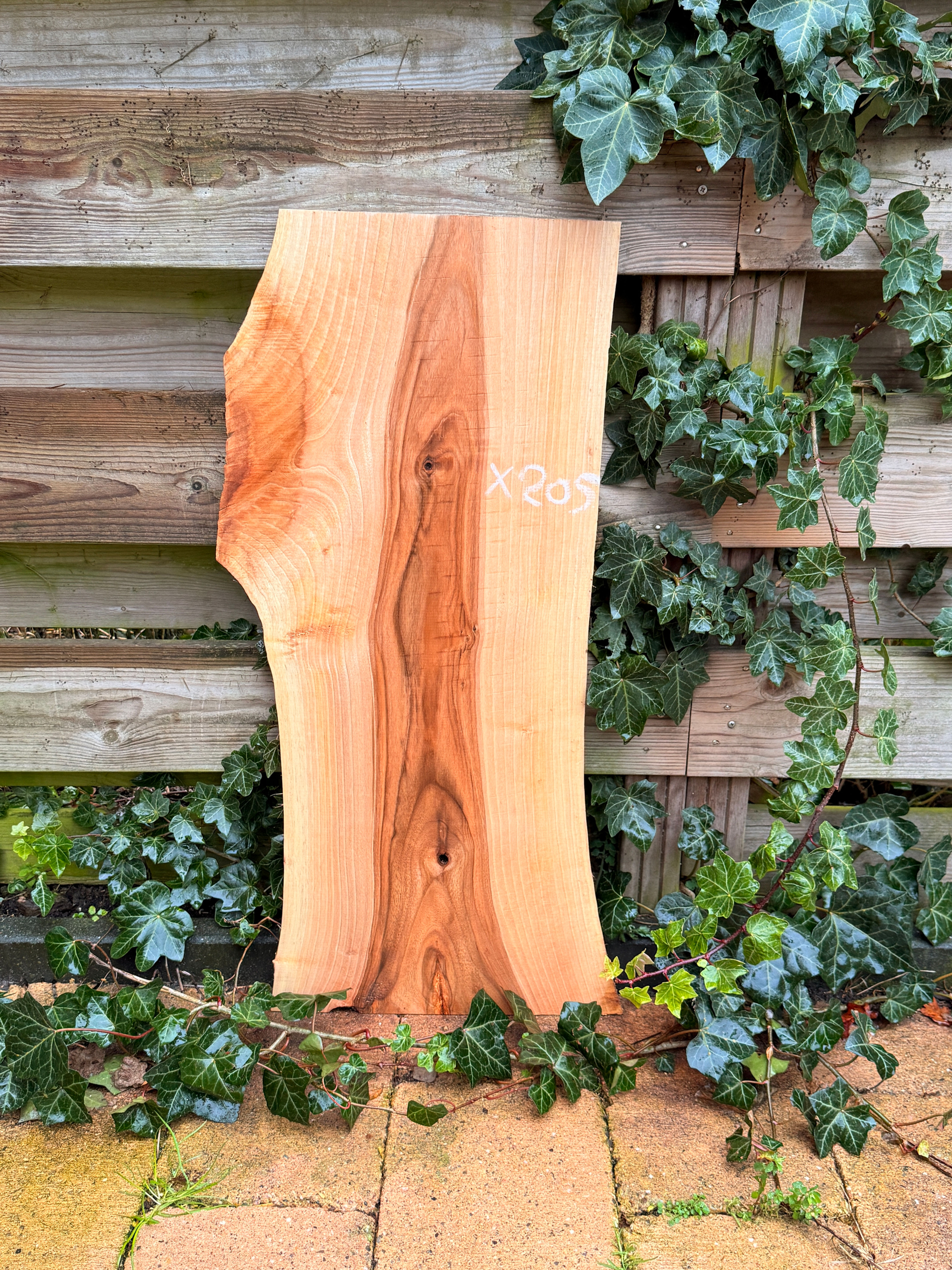 Walnoot Houten Plank - X205