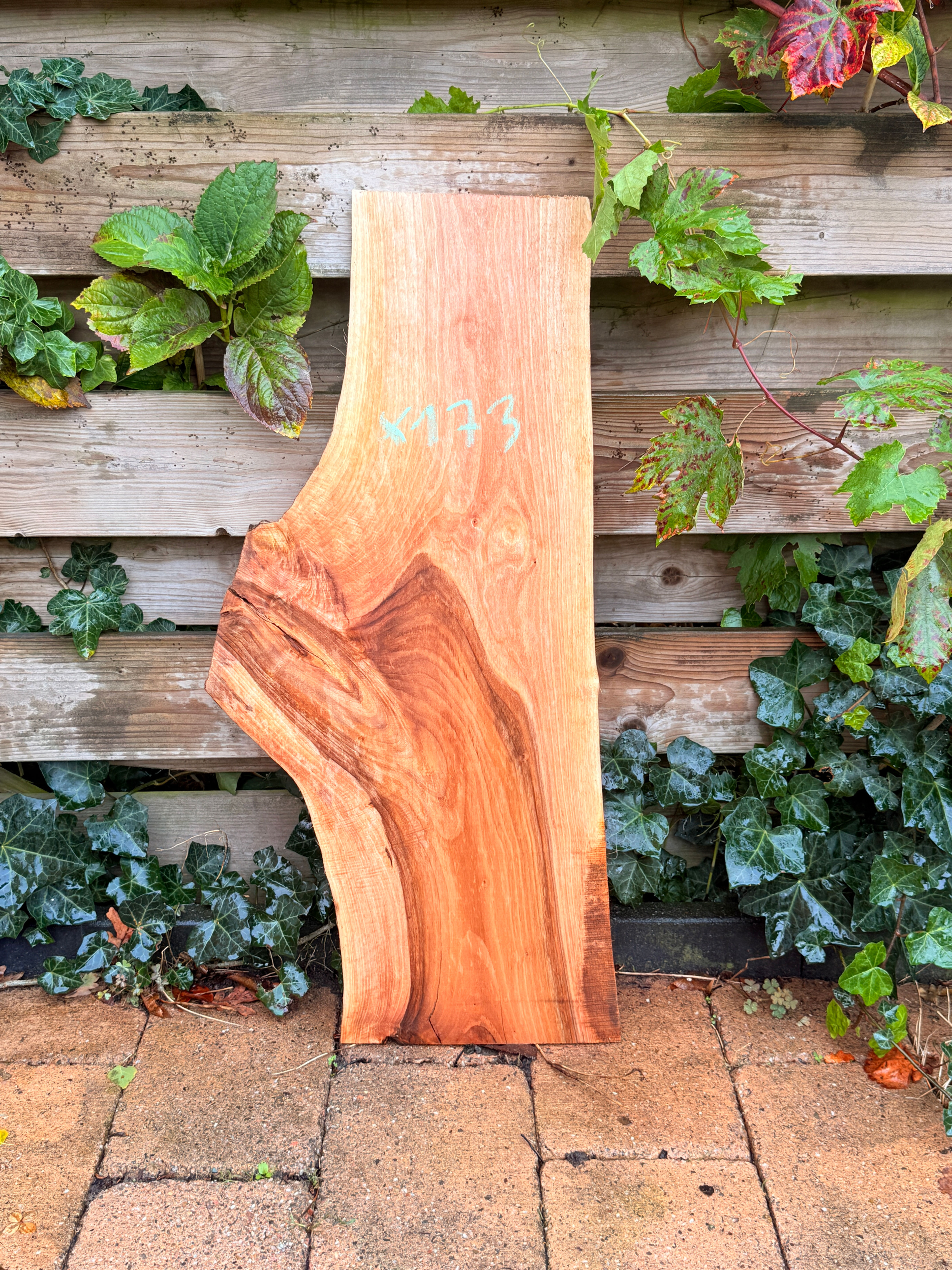 Walnoot Houten Plank - X173