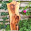 Thumbnail: Walnoot Houten Plank - X134