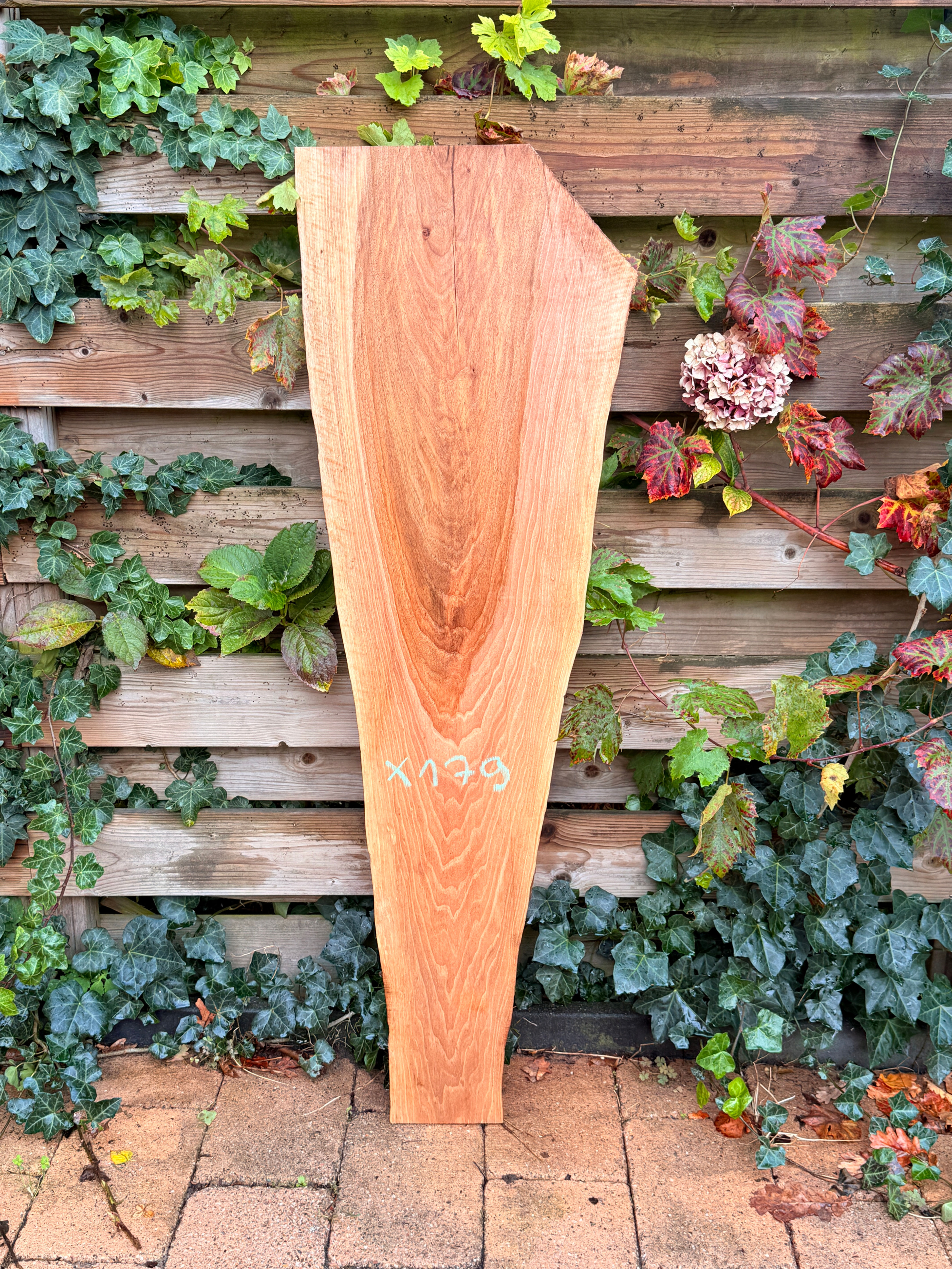 Walnoot Houten Plank - X179